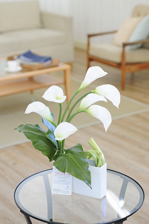 カラーをシンプルにアレンジ、微妙に異なる花びらの高さや向きが生命感を表現しています。